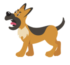 HSV Jürgensbusch Hundesport